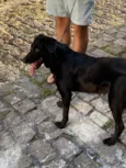 Zeus