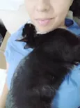 Kito