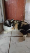 Guinho