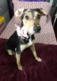Agatha 