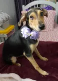 Agatha 