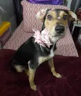 Agatha 