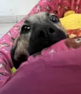 Georgia