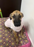 Gina