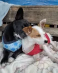 Rafael e Lara