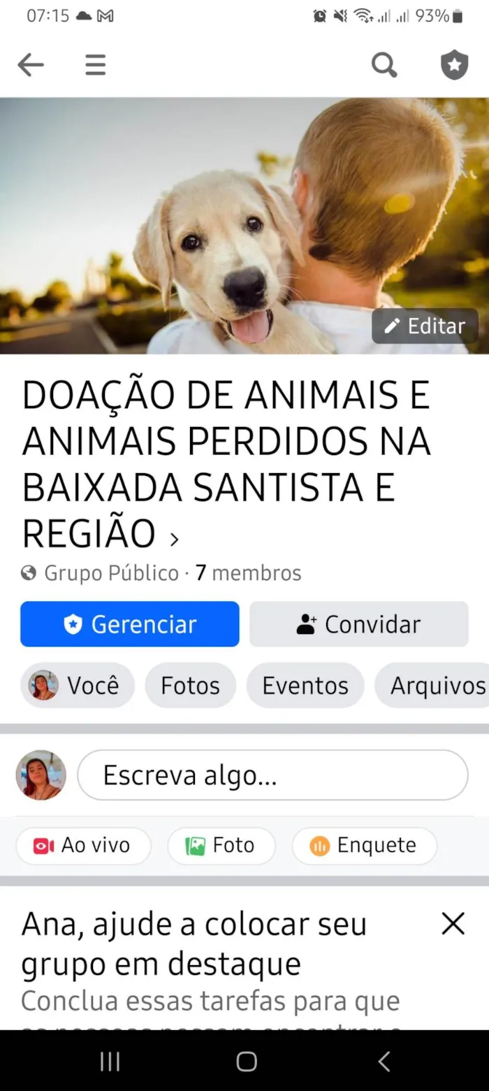 Gato ra a Variados idade 7 a 11 meses nome GRUPO DE ADOÇÃO DE ANIMAIS E ANIMAIS PERDIDOS PELA BAIXADA SANTISTA