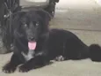 Molly