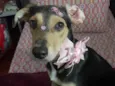 Agatha 