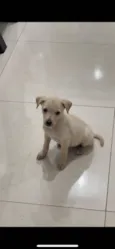 Zoe