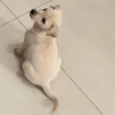 Zoe