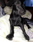 Kiara