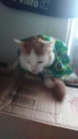 Mel