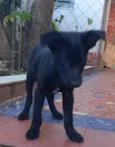 Zoe