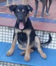 Zeca
