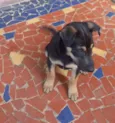Zeca