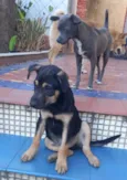 Zeca
