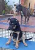 Zeca