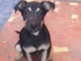 Zeca