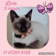 Luna