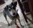 Frida