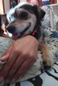 Frida