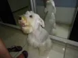 Max e Frida