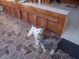 Max e Frida