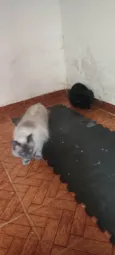 Kira e Mary