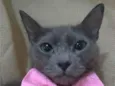 PRANA