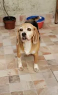 Nina