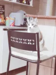 Amora e tom