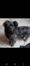 Nina