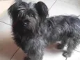 Nina