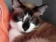 Branca lindíssima