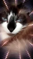 Branca lindíssima