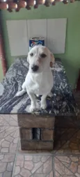 José