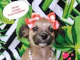 Ritinha