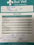 Maria Luísa (Lulu)
