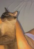 Netuno