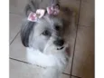 Ayla