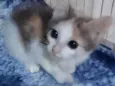 ........
