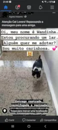 Wandinha
