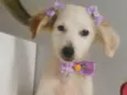 VICK, FÊMEA