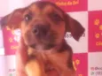 BEGINHO