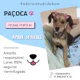 Paçoca
