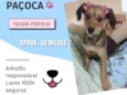 Paçoca