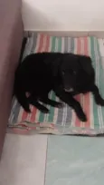 Spyque