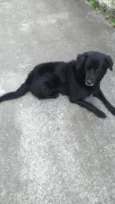 Spyque