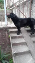 Spyque
