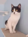 Maggie